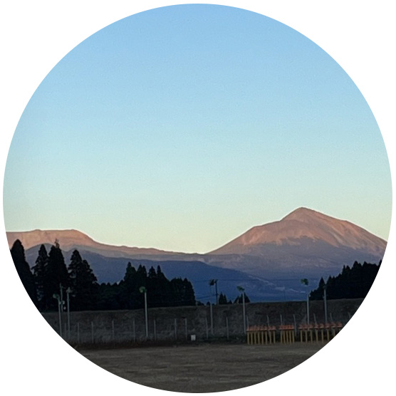 スマイルリンク